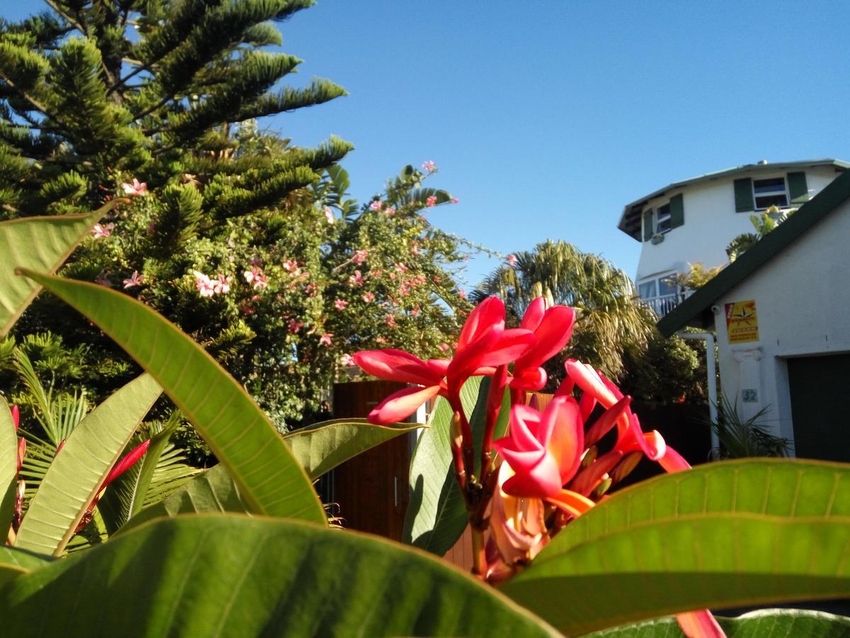 Cape Oasis Guesthouse Bloubergstrand Exterior photo